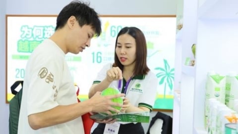 3 pillars helping Vietnam's coconut industry conquer the global market